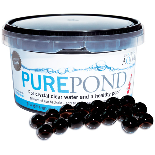 PURE Pond 500x500