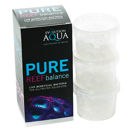 PURE Reef 500x500